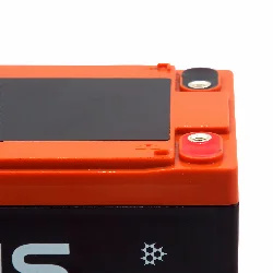 Аккумулятор ZEUS 6-DZF-13 (12V13Ah) тяговый Фото 1