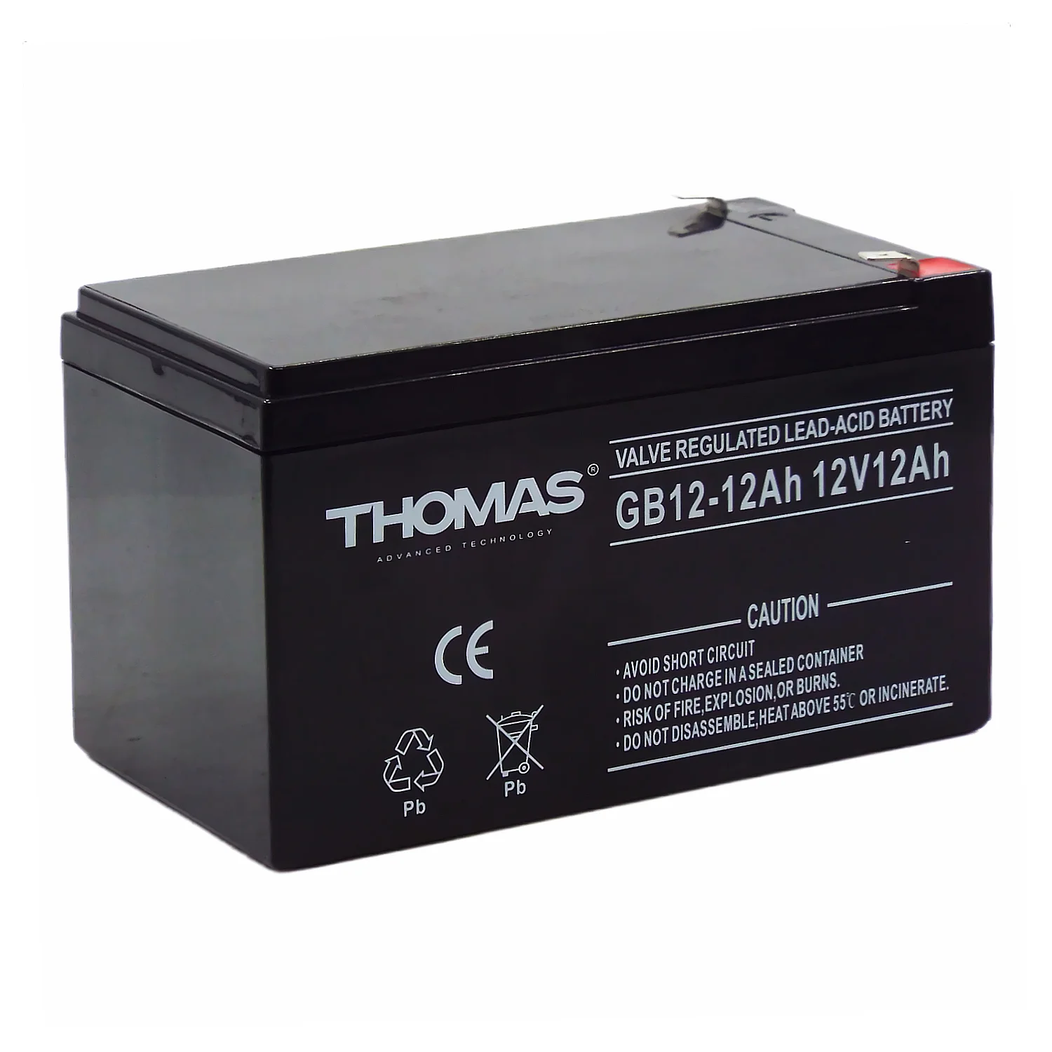 Аккумулятор THOMAS GB 12-12 (для слаботочных систем) РАСПРОДАЖА